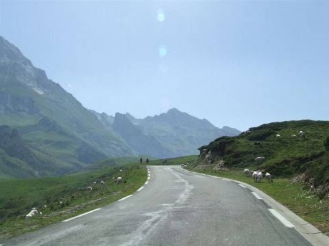 d918--col-d-aubisque-