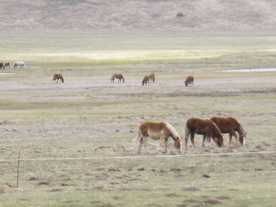 visso--castelluccio--