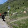 Motorcycle Road d918--col-d-aspin- photo