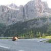 Motorcycle Road ss243--passo-di- photo