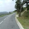 Motorcycle Road gi614--roses-- photo