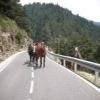 Motorcycle Road n152--la-collada- photo