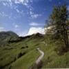 Motorcycle Road ss523--passo-cento- photo