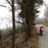 Motorcycle Road taxiarhis--arnaia-holomondas-- photo