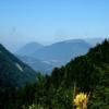 Motorcycle Road d120--col-de- photo