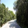 Motorcycle Road n379--cotovia-- photo