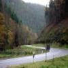 Motorcycle Road b48--annweiler-- photo