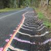 Motorcycle Road lismore--nimbin- photo