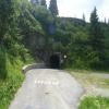 Motorcycle Road monte-zoncolan--sp123- photo