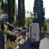 Motorcycle Road sacrario-del-monte-grappa- photo