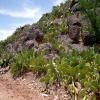 Motorcycle Road n10-taroudannt--ouarzazate- photo