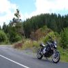 Motorcycle Road pokeno-to-raglan-the- photo