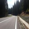 Motorcycle Road dn67c--transalpina-- photo