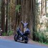 Motorcycle Road newton-b-drury-scenic- photo