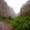 Motorcycle Road zion-kolob-canyon- photo