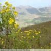 Motorcycle Road swartberg-pass- photo