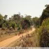 Motorcycle Road backroad-from-bulawayo-to- photo