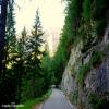 Motorcycle Road mangrt-pass--strmec- photo